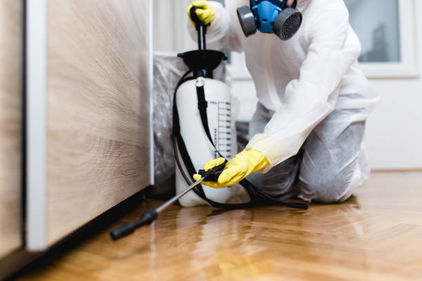 Best Emergency Pest Control  in Riverdale Park, CA