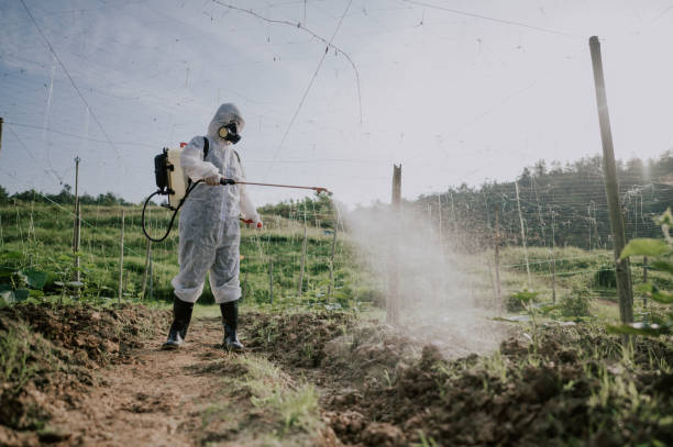 Best Best Pest Control Companies  in Riverdale Park, CA