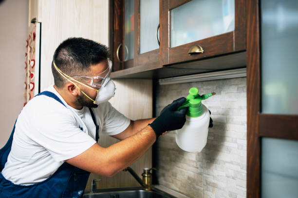 Best Bed Bug Extermination  in Riverdale Park, CA