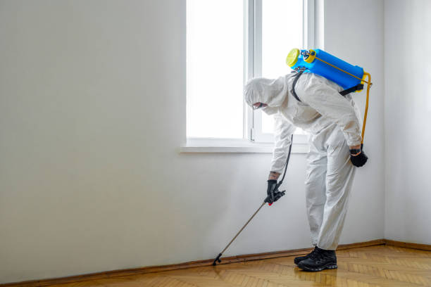Best Affordable Pest Control Services  in Riverdale Park, CA