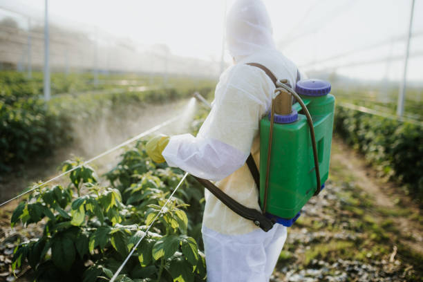 Professional Pest Control in Riverdale Park, CA
